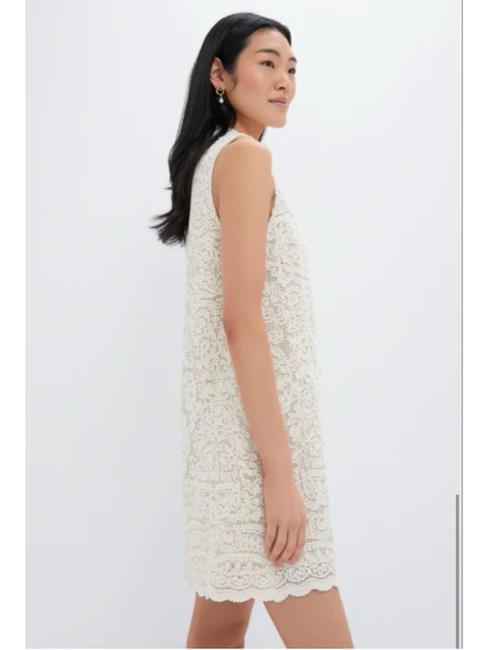 Tuckernuck Collier Tab White Crochet Sleeveless Mini Dress XL - Picture 6 of 7